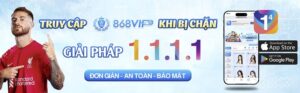 868vip