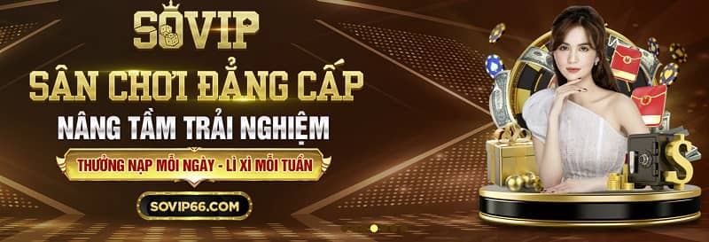 sovip66-2