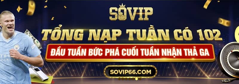 sovip66-3