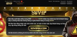 sovip66