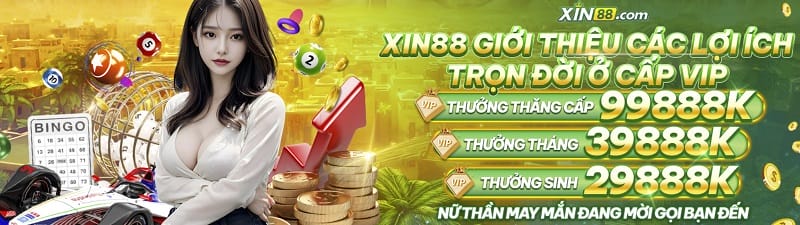 xin88-1
