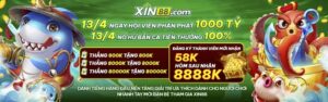 xin88