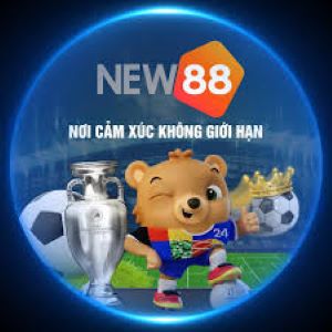 New004 Com